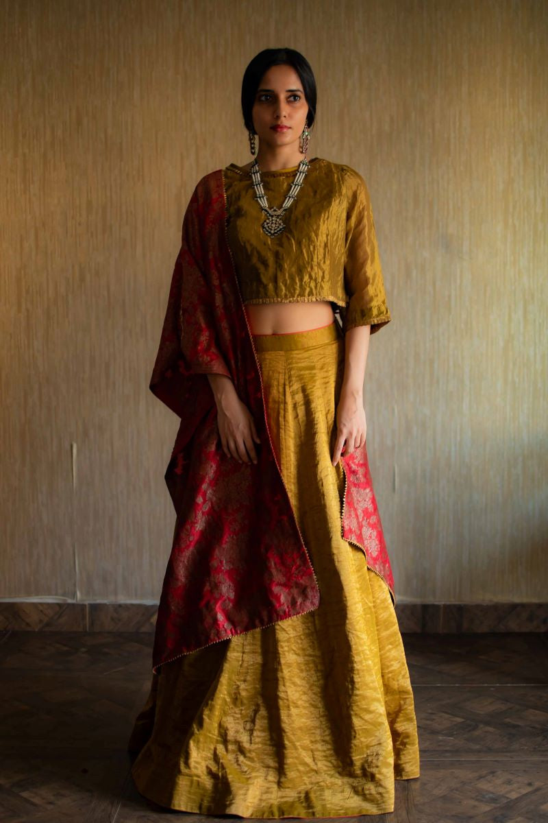 Antique gold handloom Tissue Lehenga (Set of 2)