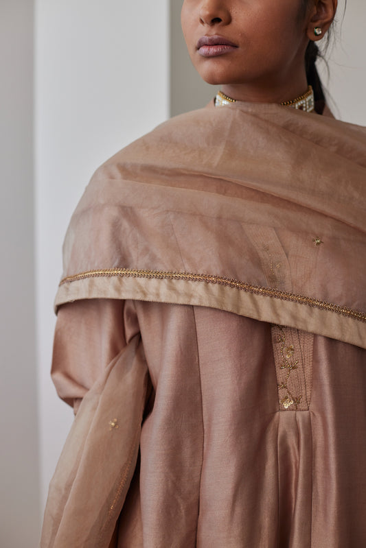 Organza Dupatta in Chai