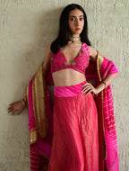Madhuri Sleeveless Choli in Pink With Pink Garara