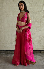 Madhuri Sleeveless Choli in Pink With Pink Garara