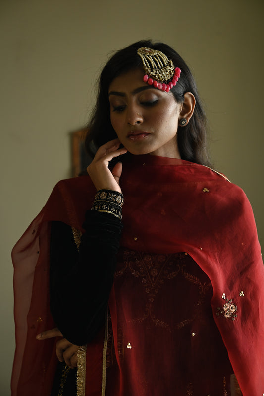 Shiuli Applique Dupatta in Red Organza