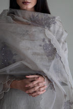 Stole In Taupe Handblock Printed Organza