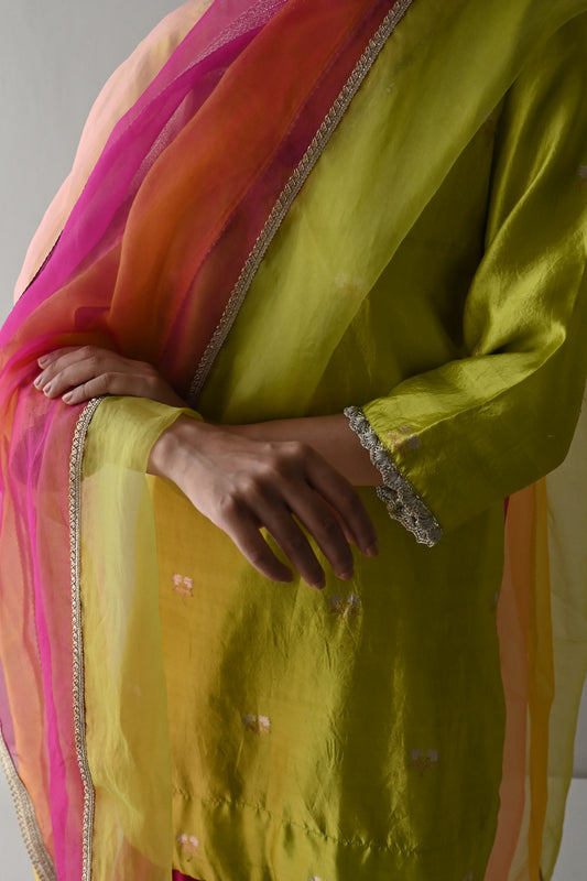 Multicolor Organza Dupatta