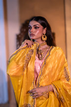 Turkish Ashoka saree in Yellow Pin Stripes