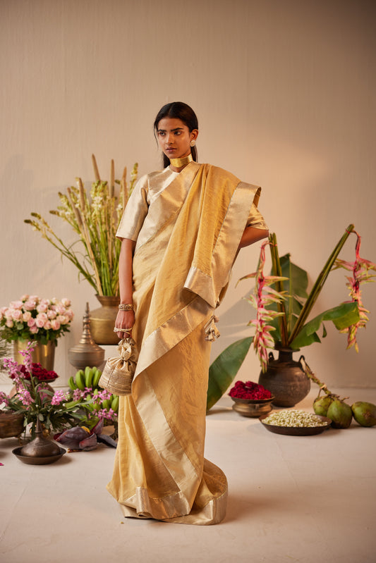 Saree in Pale Gold Tissue with Gold Brocade Border