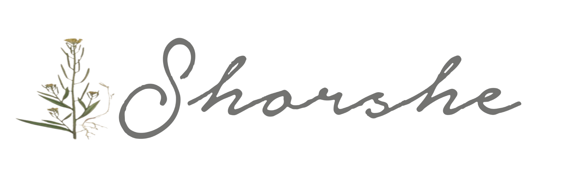 Shorshe Clothing