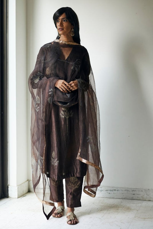 Anu Kurta In Bark Brown Printed Mulberry Silk With Pants