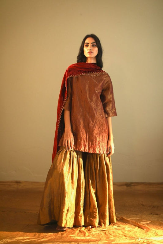 Mini Kurta In Rust Red Handloom Tissue With Sharara