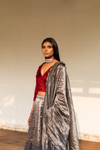 Silver Black Tissue Lehenga Set