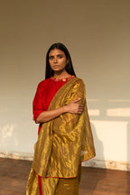 Sari In Pale Gold Handwoven Tissue